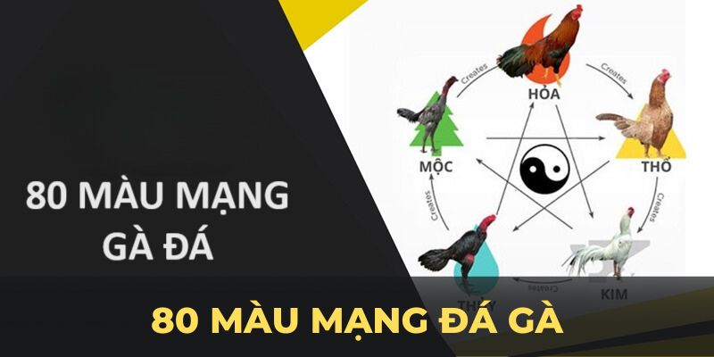 80 màu mạng đá gà ảnh