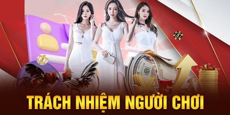 Trách nhiệm người chơi VN88 ảnh